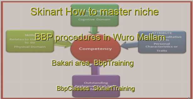 Skinart How to master niche BBP procedures in Wuro Mallam Bakari area | BbpTraining | BbpClasses | SkinartTraining-Nigeria