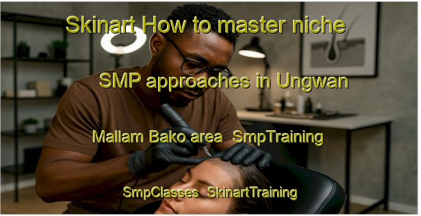 Skinart How to master niche SMP approaches in Ungwan Mallam Bako area | SmpTraining | SmpClasses | SkinartTraining-Nigeria