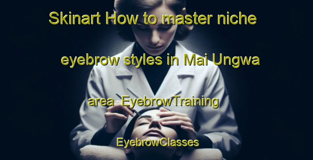 Skinart How to master niche eyebrow styles in Mai Ungwa area | EyebrowTraining | EyebrowClasses | SkinartTraining-Nigeria