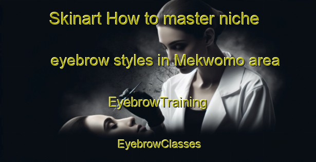 Skinart How to master niche eyebrow styles in Mekwomo area | EyebrowTraining | EyebrowClasses | SkinartTraining-Nigeria
