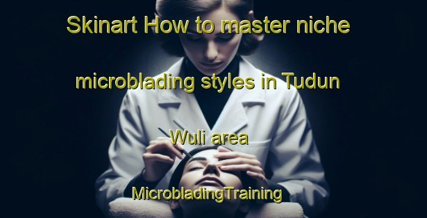 Skinart How to master niche microblading styles in Tudun Wuli area | MicrobladingTraining | MicrobladingClasses | SkinartTraining-Nigeria