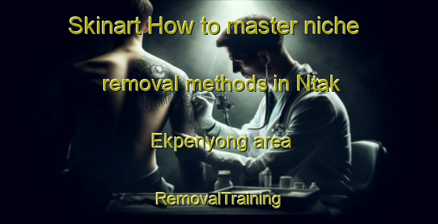 Skinart How to master niche removal methods in Ntak Ekpenyong area | RemovalTraining | RemovalClasses | SkinartTraining-Nigeria