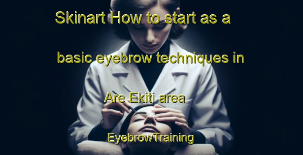 Skinart How to start as a basic eyebrow techniques in Are Ekiti area | EyebrowTraining | EyebrowClasses | SkinartTraining-Nigeria