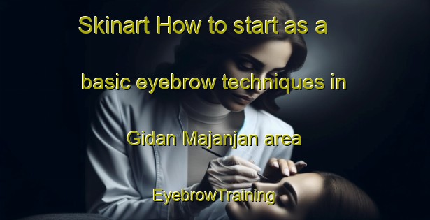 Skinart How to start as a basic eyebrow techniques in Gidan Majanjan area | EyebrowTraining | EyebrowClasses | SkinartTraining-Nigeria