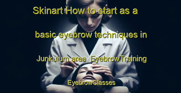 Skinart How to start as a basic eyebrow techniques in Junkulum area | EyebrowTraining | EyebrowClasses | SkinartTraining-Nigeria