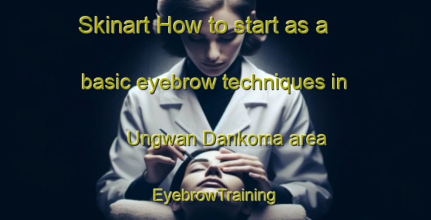 Skinart How to start as a basic eyebrow techniques in Ungwan Dankoma area | EyebrowTraining | EyebrowClasses | SkinartTraining-Nigeria