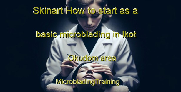 Skinart How to start as a basic microblading in Ikot Okudom area | MicrobladingTraining | MicrobladingClasses | SkinartTraining-Nigeria