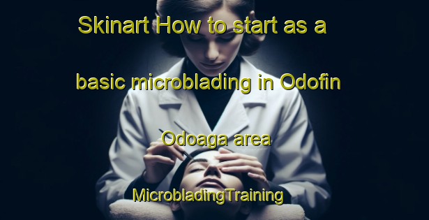 Skinart How to start as a basic microblading in Odofin Odoaga area | MicrobladingTraining | MicrobladingClasses | SkinartTraining-Nigeria