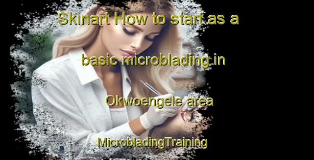 Skinart How to start as a basic microblading in Okwoengele area | MicrobladingTraining | MicrobladingClasses | SkinartTraining-Nigeria