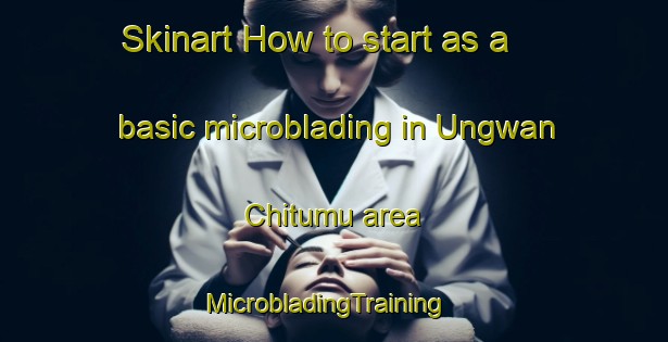 Skinart How to start as a basic microblading in Ungwan Chitumu area | MicrobladingTraining | MicrobladingClasses | SkinartTraining-Nigeria
