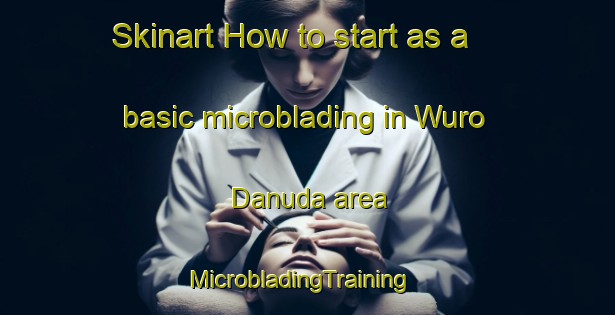 Skinart How to start as a basic microblading in Wuro Danuda area | MicrobladingTraining | MicrobladingClasses | SkinartTraining-Nigeria