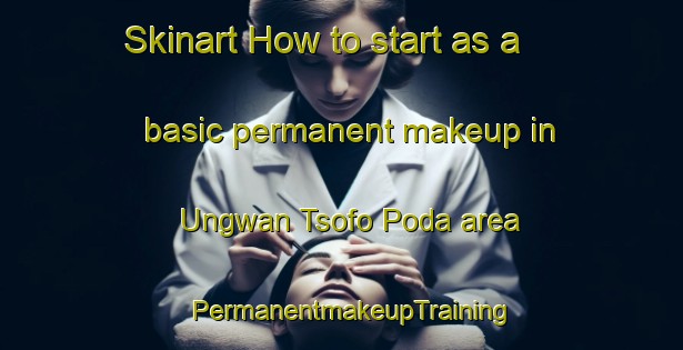 Skinart How to start as a basic permanent makeup in Ungwan Tsofo Poda area | PermanentmakeupTraining | PermanentmakeupClasses | SkinartTraining-Nigeria