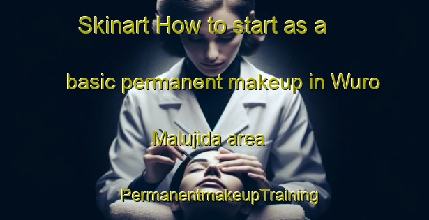 Skinart How to start as a basic permanent makeup in Wuro Malujida area | PermanentmakeupTraining | PermanentmakeupClasses | SkinartTraining-Nigeria