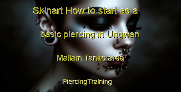 Skinart How to start as a basic piercing in Ungwan Mallam Tanko area | PiercingTraining | PiercingClasses | SkinartTraining-Nigeria