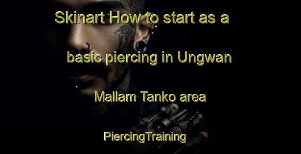 Skinart How to start as a basic piercing in Ungwan Mallam Tanko area | PiercingTraining | PiercingClasses | SkinartTraining-Nigeria