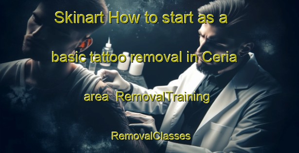 Skinart How to start as a basic tattoo removal in Ceria area | RemovalTraining | RemovalClasses | SkinartTraining-Nigeria