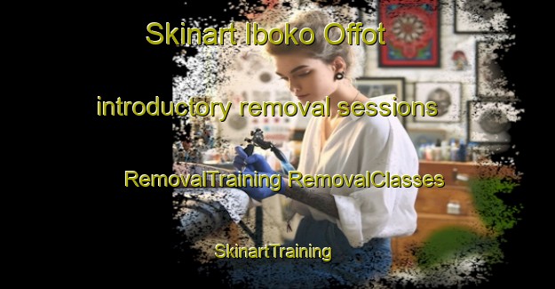 Skinart Iboko Offot introductory removal sessions | #RemovalTraining #RemovalClasses #SkinartTraining-Nigeria