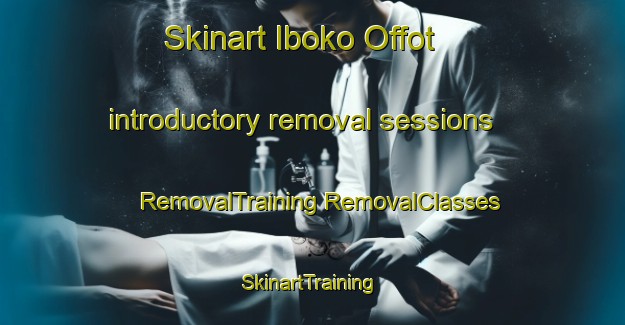 Skinart Iboko Offot introductory removal sessions | #RemovalTraining #RemovalClasses #SkinartTraining-Nigeria