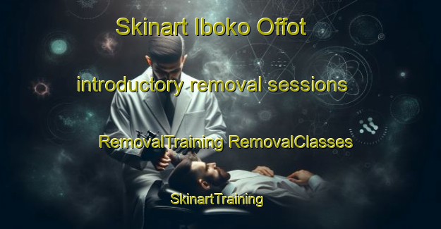 Skinart Iboko Offot introductory removal sessions | #RemovalTraining #RemovalClasses #SkinartTraining-Nigeria