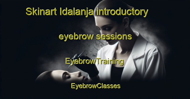 Skinart Idalanja introductory eyebrow sessions | EyebrowTraining | EyebrowClasses | SkinartTraining-Nigeria