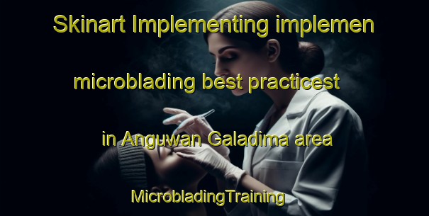 Skinart Implementing implemen microblading best practicest in Anguwan Galadima area | MicrobladingTraining | MicrobladingClasses | SkinartTraining-Nigeria