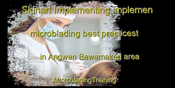 Skinart Implementing implemen microblading best practicest in Angwan Bawamakeri area | MicrobladingTraining | MicrobladingClasses | SkinartTraining-Nigeria