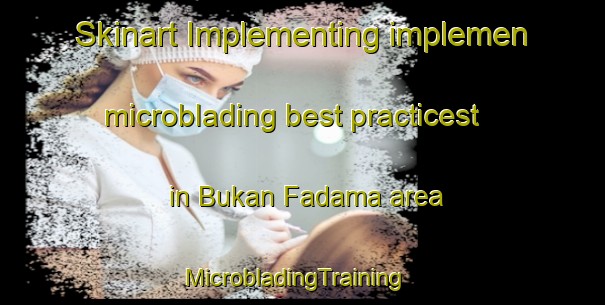 Skinart Implementing implemen microblading best practicest in Bukan Fadama area | MicrobladingTraining | MicrobladingClasses | SkinartTraining-Nigeria
