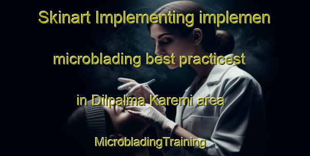 Skinart Implementing implemen microblading best practicest in Dilpalma Karemi area | MicrobladingTraining | MicrobladingClasses | SkinartTraining-Nigeria