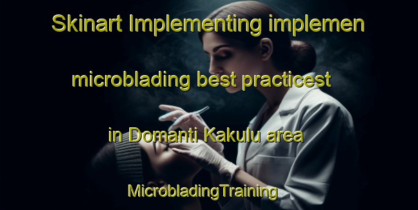 Skinart Implementing implemen microblading best practicest in Domanti Kakulu area | MicrobladingTraining | MicrobladingClasses | SkinartTraining-Nigeria