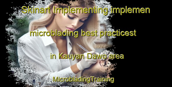 Skinart Implementing implemen microblading best practicest in Kauyan Dawo area | MicrobladingTraining | MicrobladingClasses | SkinartTraining-Nigeria