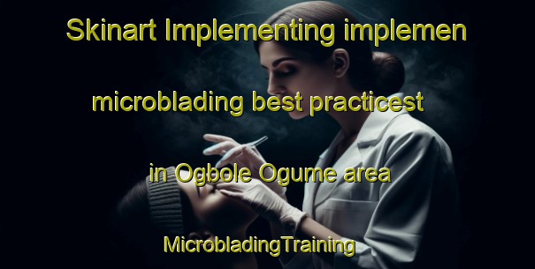 Skinart Implementing implemen microblading best practicest in Ogbole Ogume area | MicrobladingTraining | MicrobladingClasses | SkinartTraining-Nigeria