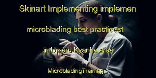 Skinart Implementing implemen microblading best practicest in Umaru Kyanka area | MicrobladingTraining | MicrobladingClasses | SkinartTraining-Nigeria