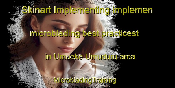Skinart Implementing implemen microblading best practicest in Umueke Umuduru area | MicrobladingTraining | MicrobladingClasses | SkinartTraining-Nigeria