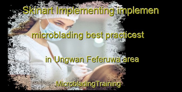 Skinart Implementing implemen microblading best practicest in Ungwan Feferuwa area | MicrobladingTraining | MicrobladingClasses | SkinartTraining-Nigeria