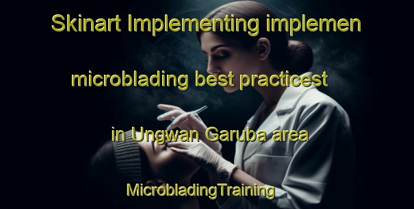 Skinart Implementing implemen microblading best practicest in Ungwan Garuba area | MicrobladingTraining | MicrobladingClasses | SkinartTraining-Nigeria