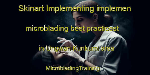 Skinart Implementing implemen microblading best practicest in Ungwan Kunkumi area | MicrobladingTraining | MicrobladingClasses | SkinartTraining-Nigeria