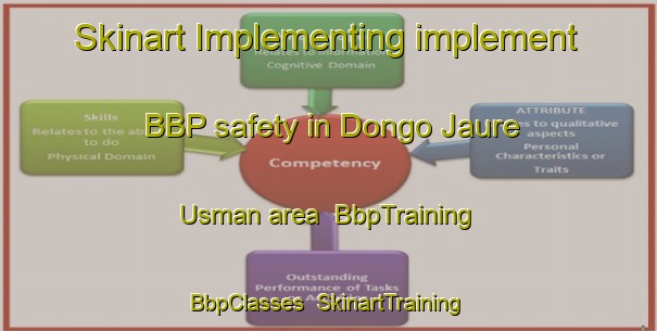 Skinart Implementing implement BBP safety in Dongo Jaure Usman area | BbpTraining | BbpClasses | SkinartTraining-Nigeria