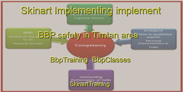 Skinart Implementing implement BBP safety in Timtan area | BbpTraining | BbpClasses | SkinartTraining-Nigeria