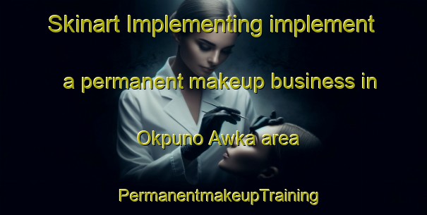 Skinart Implementing implement a permanent makeup business in Okpuno Awka area | PermanentmakeupTraining | PermanentmakeupClasses | SkinartTraining-Nigeria