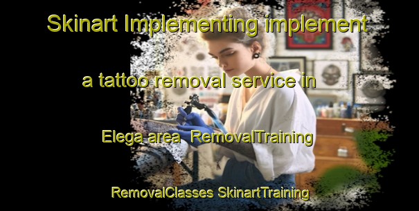 Skinart Implementing implement a tattoo removal service in Elega area | #RemovalTraining #RemovalClasses #SkinartTraining-Nigeria