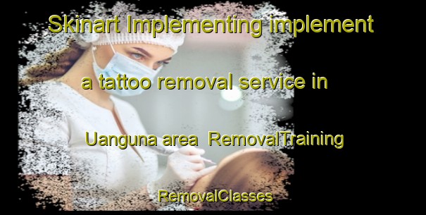 Skinart Implementing implement a tattoo removal service in Uanguna area | RemovalTraining | RemovalClasses | SkinartTraining-Nigeria