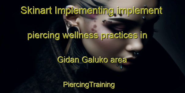 Skinart Implementing implement piercing wellness practices in Gidan Galuko area | PiercingTraining | PiercingClasses | SkinartTraining-Nigeria