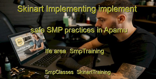 Skinart Implementing implement safe SMP practices in Apamu Ife area | SmpTraining | SmpClasses | SkinartTraining-Nigeria