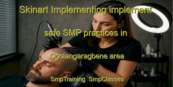 Skinart Implementing implement safe SMP practices in Ogolangaragbene area | SmpTraining | SmpClasses | SkinartTraining-Nigeria