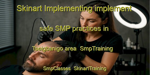 Skinart Implementing implement safe SMP practices in Tseigbanigo area | SmpTraining | SmpClasses | SkinartTraining-Nigeria
