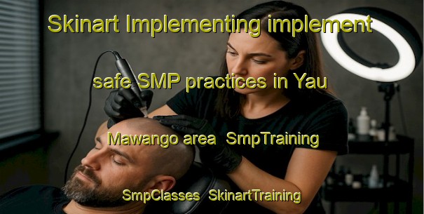 Skinart Implementing implement safe SMP practices in Yau Mawango area | SmpTraining | SmpClasses | SkinartTraining-Nigeria