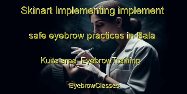 Skinart Implementing implement safe eyebrow practices in Bala Kuita area | EyebrowTraining | EyebrowClasses | SkinartTraining-Nigeria