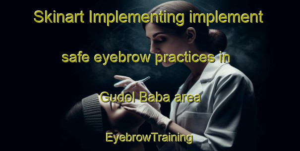 Skinart Implementing implement safe eyebrow practices in Gudol Baba area | EyebrowTraining | EyebrowClasses | SkinartTraining-Nigeria