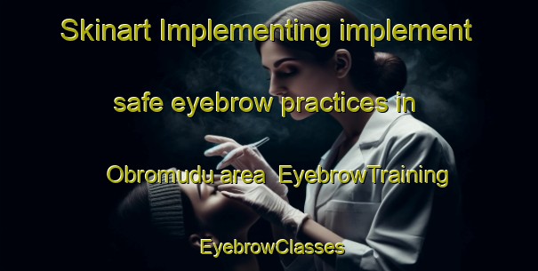 Skinart Implementing implement safe eyebrow practices in Obromudu area | EyebrowTraining | EyebrowClasses | SkinartTraining-Nigeria