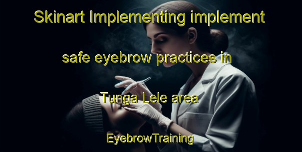Skinart Implementing implement safe eyebrow practices in Tunga Lele area | EyebrowTraining | EyebrowClasses | SkinartTraining-Nigeria